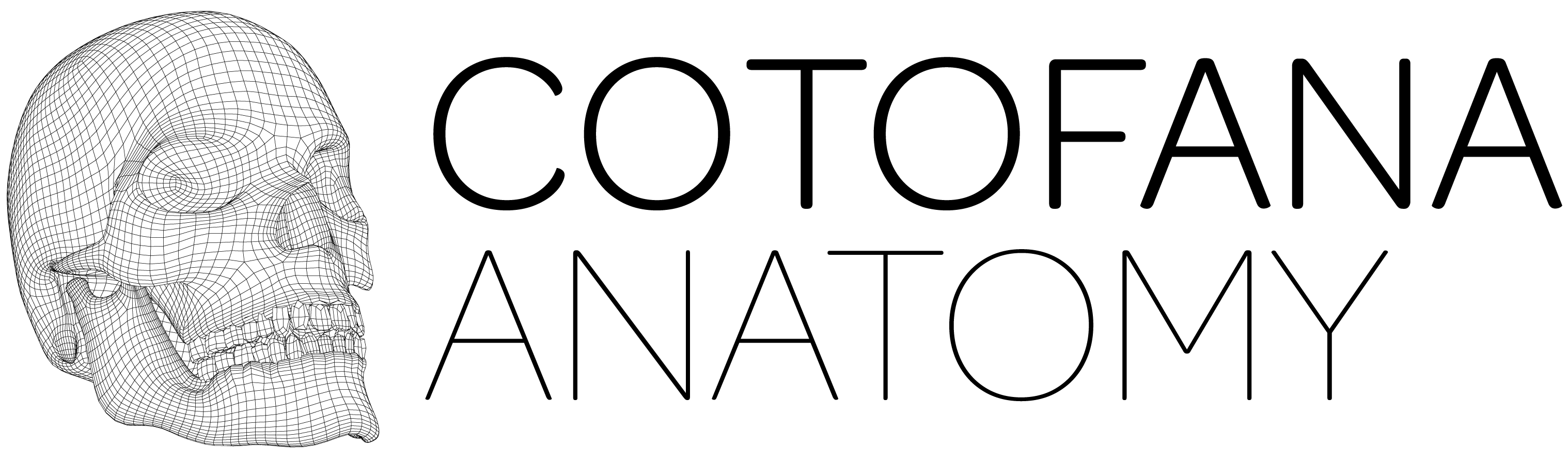 Cotofana Anatomy